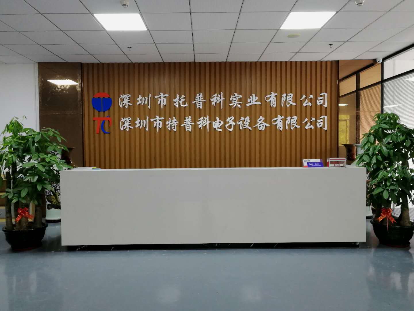 香蕉黄视频下载科